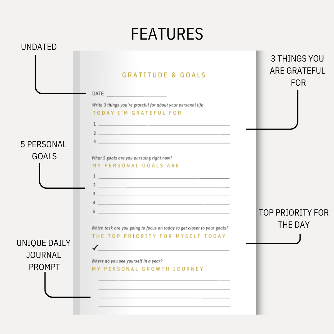 Daily Gratitude & Goals Journal for Men